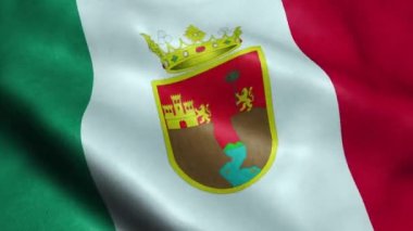 Chiapas Kesintisiz Looping Sallanan Animasyon Meksika Devlet Bayrağı