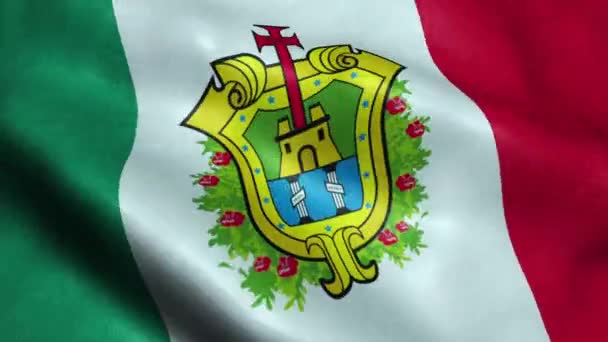 Bandera Del Estado Veracruz México Animación Ondulante Bucle Sin Fisuras — Vídeos de Stock