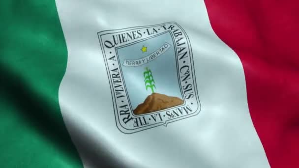 Bandiera Dello Stato Del Messico Morelos Seamless Looping Waving Animation — Video Stock