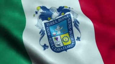 Aguascalientes Meksika Eyaleti Bayrağı Dikişsiz Döngü Sallayarak Animasyon