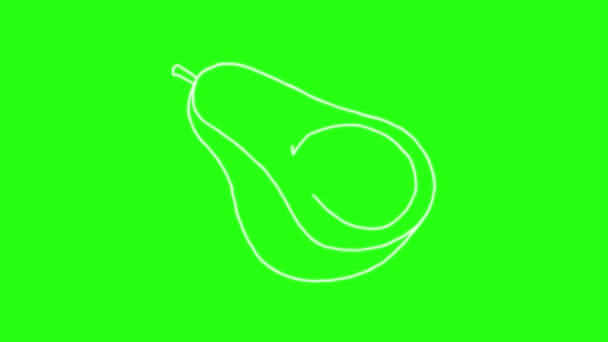 Avocado Pictogram Hand Tekenen Cartoon Animatie Doodle Groen Scherm — Stockvideo