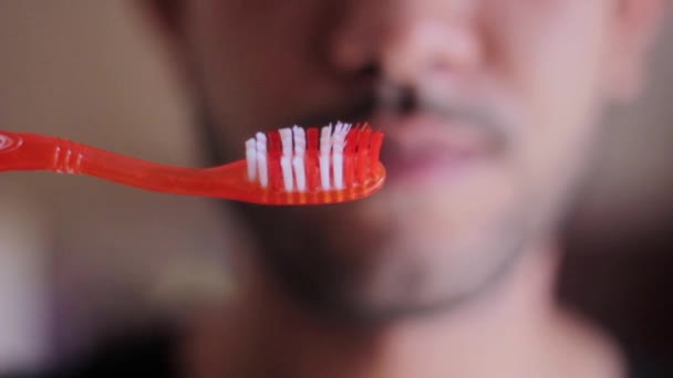 Jeune Homme Qui Regarde Une Brosse Dents — Video