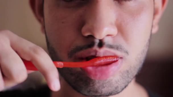 Closeup Young Man Brushing Teeth — Stock Video