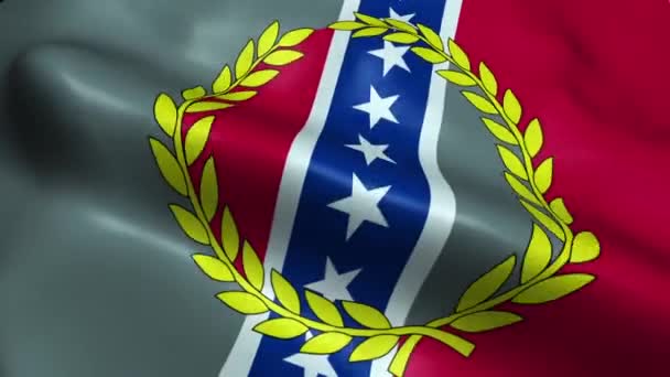 Bandeira Montgomery Usa City Seamless Looping Waving Animation — Vídeo de Stock