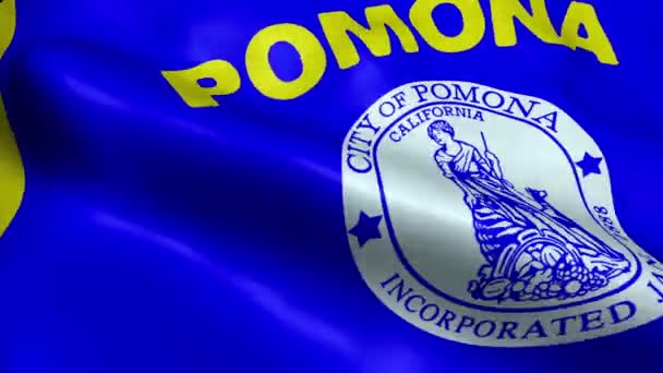 Pomona Usa Şehri Bayrağı Kusursuz Döngülü Dalgalanma Canlandırması — Stok video