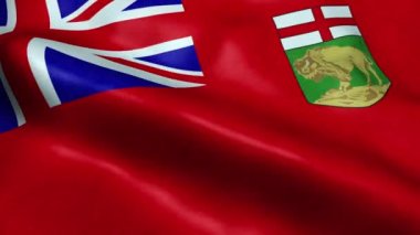 Manitoba Eyaleti ya da Kanada Bölgesi Bayrağı Kusursuz Dalgalanma Animasyonu
