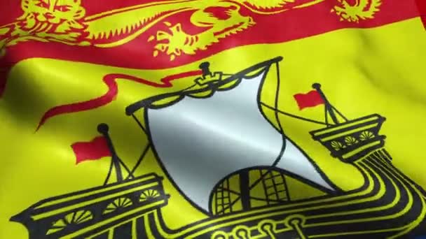 Flag New Brunswick Province Territory Canada Seamless Looping Waving Animation — ストック動画