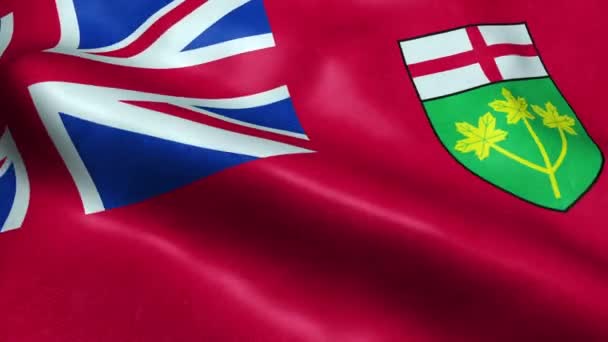 Flag Ontario Province Territory Canada Seamless Looping Waving Animation — Stock Video