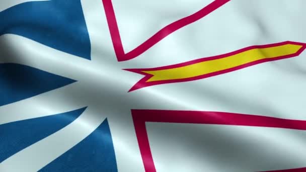 Bandera Terranova Provincia Labrador Territorio Canadá Seamless Looping Waving Animation — Vídeo de stock