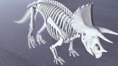 Stegosaurus İskeletinin 3B Çizimi