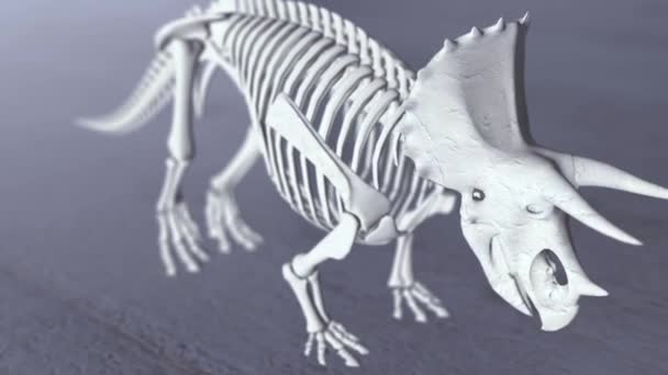 3D Render von Stegosaurus Skelett