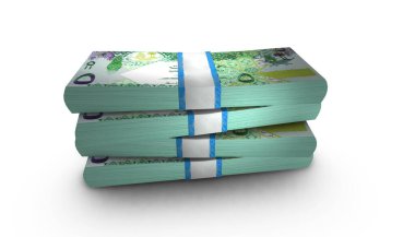 5 Katar Riyali Parasının 3D Yığını