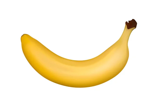 Banana Isolated White Background Vector Illustration — Stock Vector