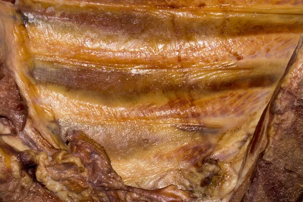 Cerdo Ahumado Costillas Cerdo Fumadas Fondo Carne —  Fotos de Stock