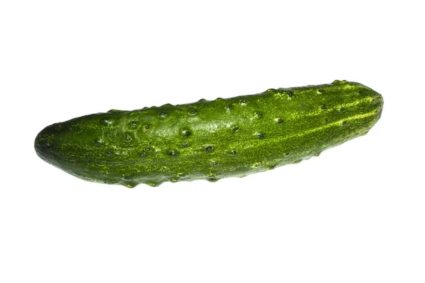 Огірок Зелений Ізольований Білому Тлі — стокове фото