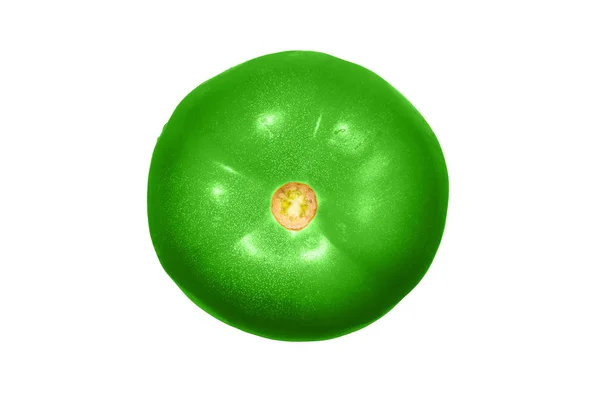 Verde Tomate Isolado Fundo Branco — Fotografia de Stock
