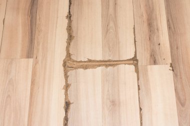 Laminat eski, kırık. Eski laminat doku.