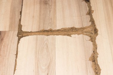 Laminat eski, kırık. Eski laminat doku.