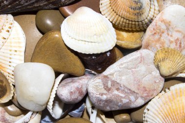 Deniz taşları ve deniz kabuklarını doku. Deniz taşları ve kabukları ile arka plan.