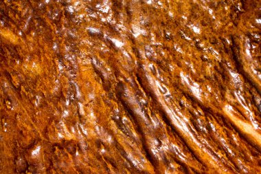 Bir geyik boynuzları doku.