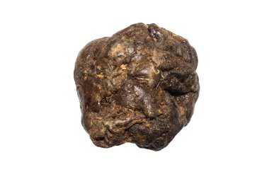 Propolis beyaz arka plan üzerinde izole parçası.