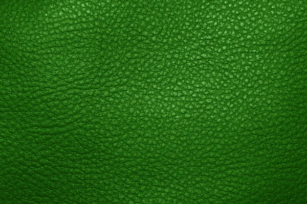 Green genuine leather texture.The texture of the pig skin.