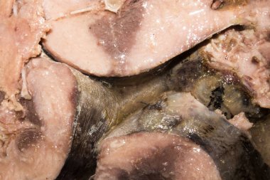 Konserve ton balığı. Arka plan ton balığı. Balık arka plan.