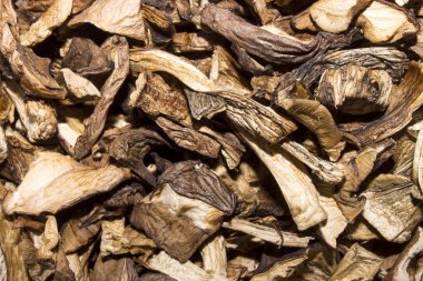 Kurutulmuş mantar. Kurutulmuş çörek. Kurutulmuş mantar arka plan. Kurutulmuş beyaz mantar.