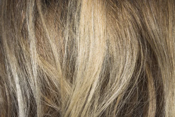 Kolorowe Włosy Kobiece Tło Włosów Farbowanych Zakończenia Plit — Zdjęcie stockowe