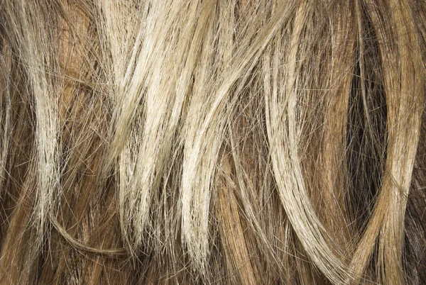 彩色的女性头发 彩色头发的背景 分叉结束 — 图库照片