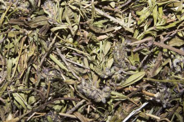 Kurutulmuş kekik. Kekik arka plan. Çay gibi demleyin için kekik. Kekik ot tıbbi bir bitkidir.