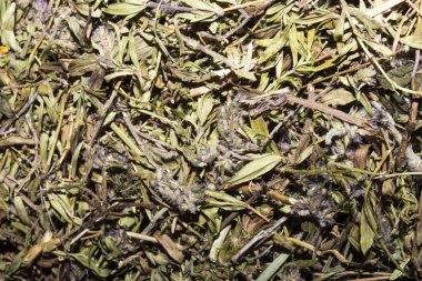 Kurutulmuş kekik. Kekik arka plan. Çay gibi demleyin için kekik. Kekik ot tıbbi bir bitkidir.