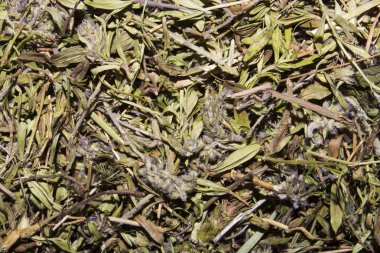 Kurutulmuş kekik. Kekik arka plan. Çay gibi demleyin için kekik. Kekik ot tıbbi bir bitkidir.