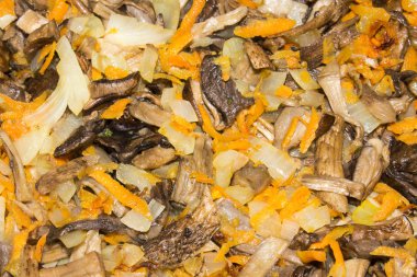 Kızarmış soğan ve havuç ile mantar. Mantar kavurma, arka plan.