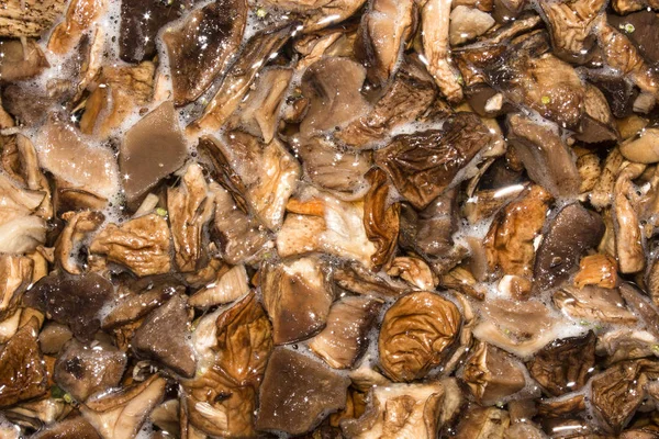 Eingeweichte Getrocknete Pilze Pilz Hintergrund — Stockfoto