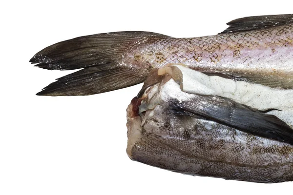 Poisson Goberge Cru Isolé Sur Fond Blanc — Photo