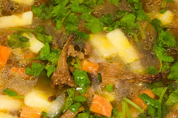 Sopa Champiñones Con Cantarelas Hierbas Fondo Sopa Champiñones —  Fotos de Stock