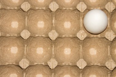 Tavuk yumurta karton bir kafes içinde arka plan.