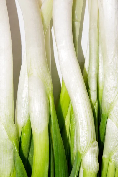 Green onion.Background of green onion feathers.