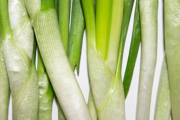 Green onion.Background of green onion feathers.