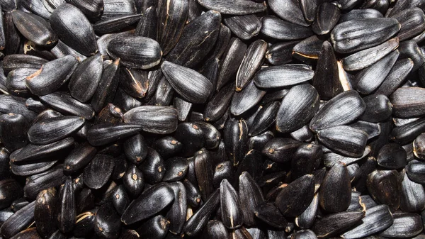 Sunflower seeds.Sunflower seeds.Background of sunflower seeds.