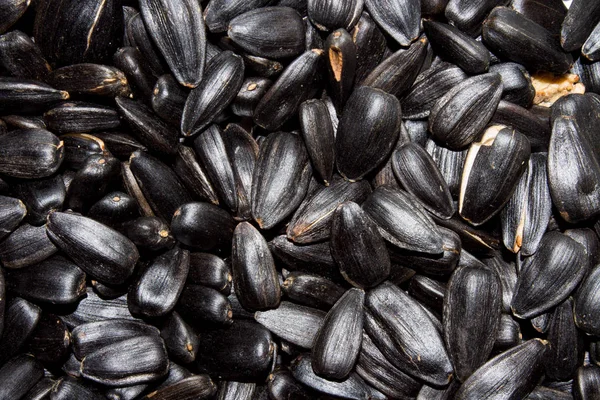 Sunflower seeds.Sunflower seeds.Background of sunflower seeds.