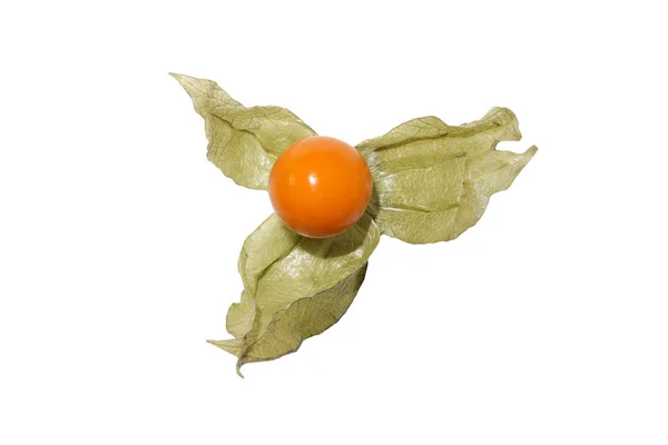 Physalis Egzotikus Gyümölcsök Fehér Alapon — Stock Fotó