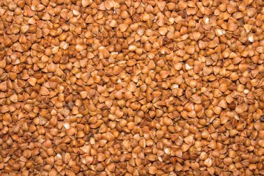 Buğday Buckwheat.Background. Karabuğday doku.