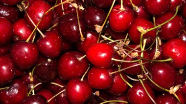 Olgun kiraz. Sulu kiraz arka plan.