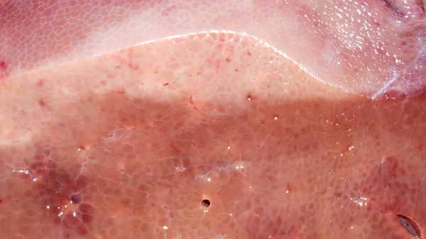 肝臓は新鮮な豚肉です 新鮮な豚の肝臓の背景 — ストック写真