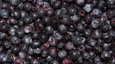 Yaban mersini olgun orman meyveleri vardır. Taze yaban mersini ile arka plan.