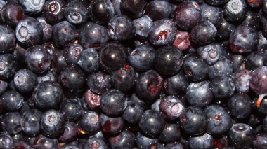 Yaban mersini olgun orman meyveleri vardır. Taze yaban mersini ile arka plan.