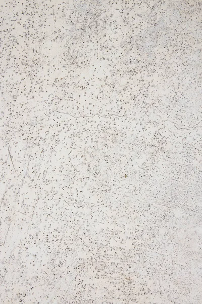 Texture of old white wall with mold.Background of mold from the damp.