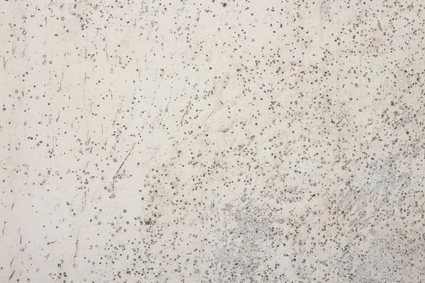 Texture of old white wall with mold.Background of mold from the damp.